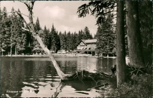 Ansichtskarte Bayerisch Eisenstein Arbersee mit Seehaus 1963