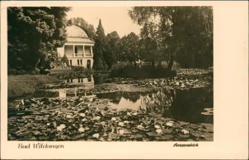 Ansichtskarte Bad Wildungen Kurpark Seerosen - Fotokarte 1959