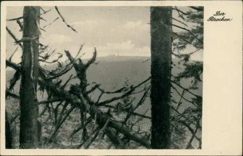 Ansichtskarte Ilsenburg (Harz) Der Brocken - Stimmungsbild Künstlerkarte 1934