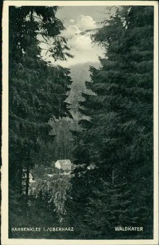 Ansichtskarte Thale (Harz) Hotel Waldkater 1934