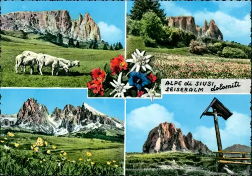 Cartolina .Trentino-Südtirol ALPE di SIUSI, SEISERALM Dolomiten 1961