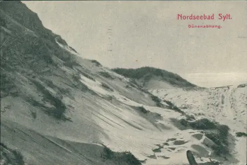 Ansichtskarte Insel Sylt Dünenabhang. Nordseebad 1918