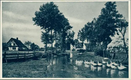 Postcard Stabnitz b. Eger Lipová u Chebu Dorfpartie im Egerland 1928