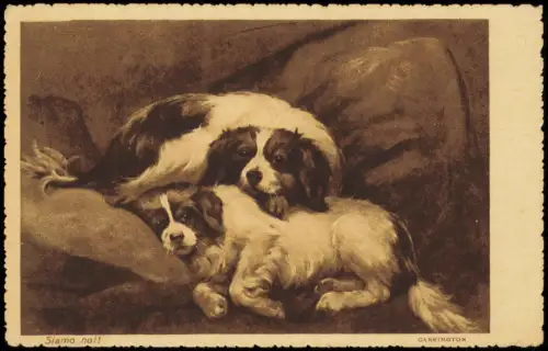 Ansichtskarte  Tiere - Hunde kuscheln auf Sofa Künstlerkarte 1932