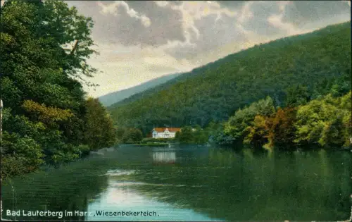 Ansichtskarte Bad Lauterberg im Harz Harz Wiesenbekerteich. 1915