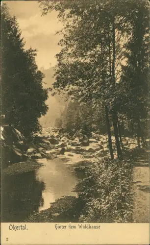 Ansichtskarte Oker-Goslar Okertal. Hinter dem Waldhause 1918