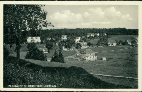 Ansichtskarte Hahnenklee-Bockswiese-Goslar Stadtpartie 1929