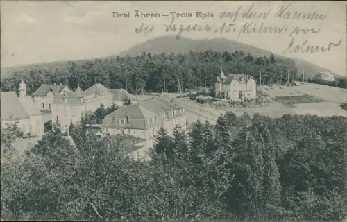 CPA Drei Ähren Trois Epis Stadtpartie 1910
