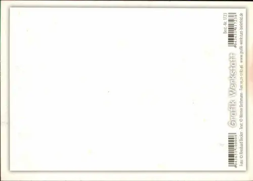 Kaffee (Reklame) Einladung zum Nichtstun, Kaffee-Tasse (Motiv) 2000