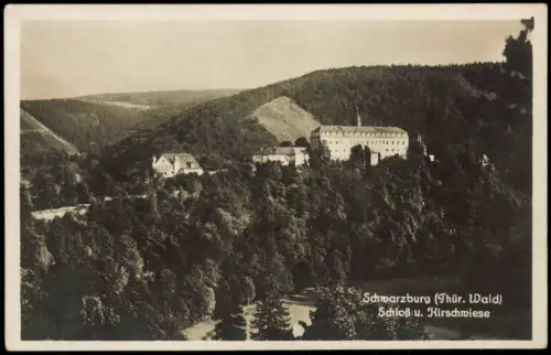 Ansichtskarte Schwarzburg Schloß u. Hirschwiese 1930