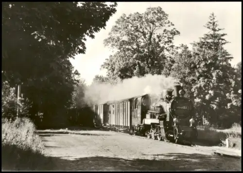 Philippshagen-Göhren (Rügen) Einfahrt Dampflokomotive Schmalspurbahn 1983