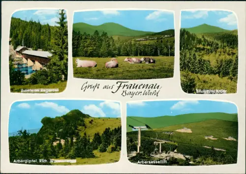 Ansichtskarte Frauenau (LK Regen) Regental Sessellift uvm 1979