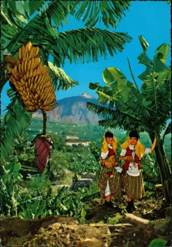 .Teneriffa Landschaft ISLA DE TENERIFE Plátanos y flores Bananenplantage 1970