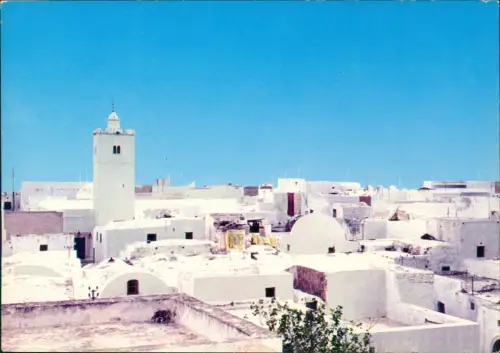 Postcard Hammamet Vue Générale 1976  TUNISIE Tunesien