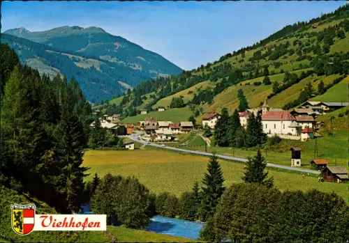 Ansichtskarte Viehhofen Umland-Ansicht Panorama 1980