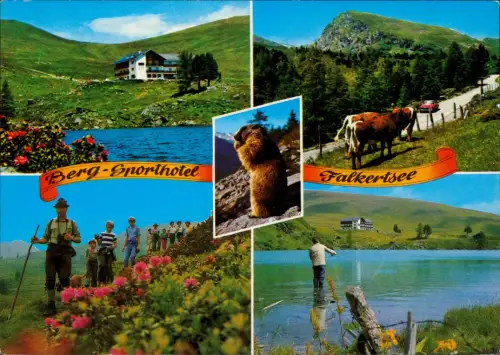 Kärnten Mehrbildkarte Kärnten mit dem Berg-Sporthotel Falkertsee 1990