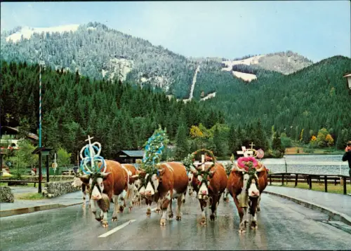 Spitzingsee-Schliersee Almabtrieb am Spitzingsee Bayrische Alpen 1993