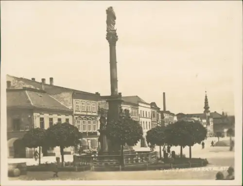 Lot 10 Postcards Zwittau Svitavy