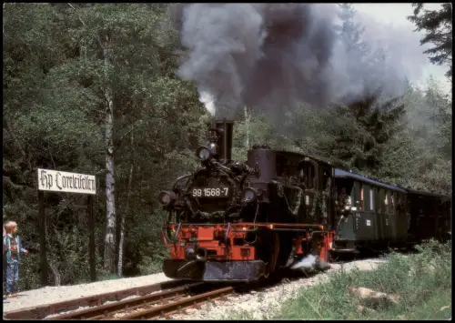 .Sachsen Dampflok 99 1568-7 der Preßnitztalbahn am Haltepunkt Loreleifelsen 1996
