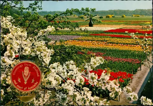 Postkaart .Niederlande Holland in Blumenschmuck 1980