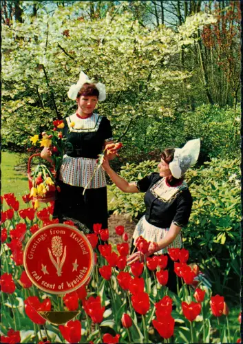 Postkaart .Niederlande Holland in Bloementooi Holland Blumenschmuck 1980