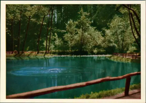 Ansichtskarte Rhumspringe Rhumequelle im Südharz 1970