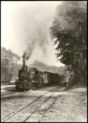 Göhren (Rügen) Schmalspurbahn Putbus - Göhren Dampflokomotive 1983