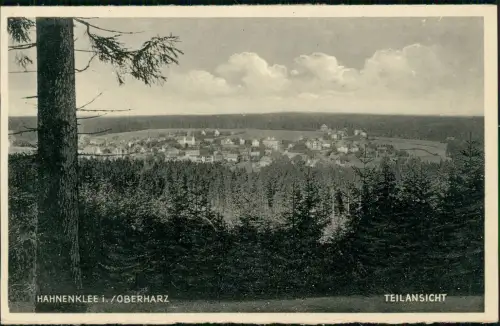 Ansichtskarte Hahnenklee-Bockswiese-Goslar Teilansicht 1932
