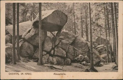 Ansichtskarte Oker-Goslar Okertal Harz Felsen Mausefalle 1918