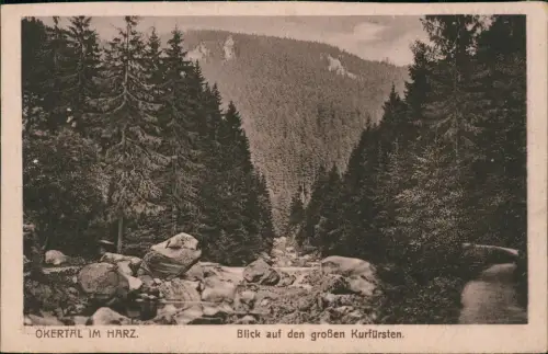 Ansichtskarte Oker-Goslar Okertal Blick auf den großen Kurfürsten. 1922