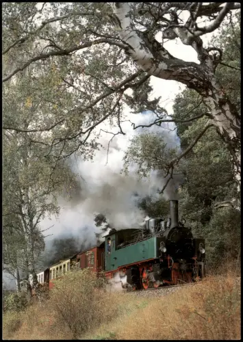 Harzgerode Dampflok NEW 13 der Harzer Schmalspurbahnen im Selketal 1994