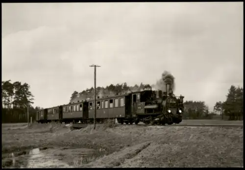 Ansichtskarte  Schmalspurbahn 99 5704 im Spreewald 1970