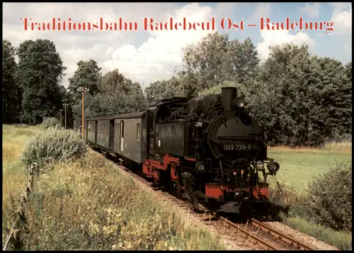 .Sachsen Dampflokomotive 'Lößnitzdackel' auf der Schmalspurbahn 1996