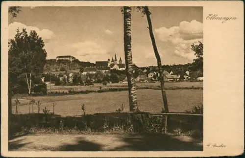 Ansichtskarte Ellwangen (Jagst) Blick vom Wald auf die Stadt 1928