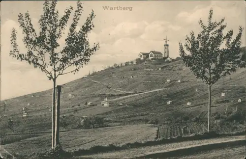 Ansichtskarte Heilbronn Partie auf dem Wartberg 1906