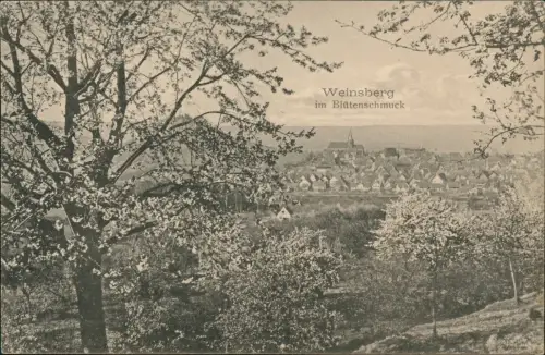 Ansichtskarte Weinsberg Stadt im Blütenschmuck 1912