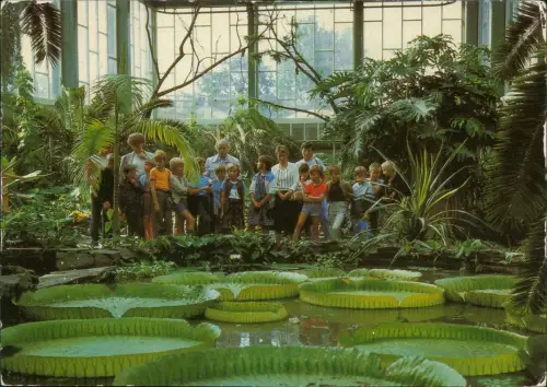 Ansichtskarte Mitte-Berlin Alfred-Brehm-Haus Tierpark - Innen 1986