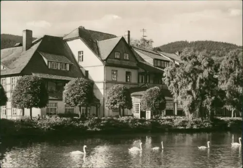 Ansichtskarte Ilsenburg (Harz) Forellenteich zur DDR-Zeit 1980/1979