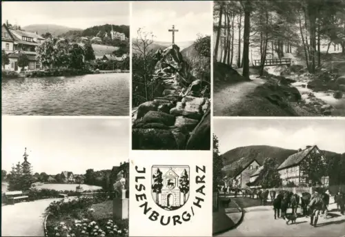 Ilsenburg (Harz) Forellenteich, Ilsestein, Ilsetal, Park, Buchbergstraße 1979