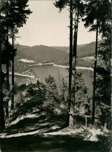 Hohenwarte-Kaulsdorf Am Stausee der HohenwartesperreBlick vom Hermannsfelsen 1965