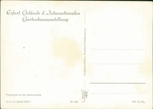 Erfurt Internationale Gartenbauausstellung der DDR IGA Flamingo 1968