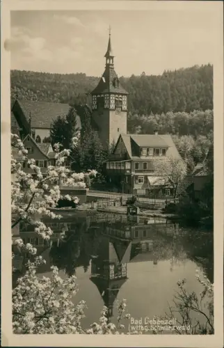 Ansichtskarte Bad Liebenzell Stadtpartie Baumblüte Steg und See 1930