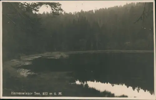 Ansichtskarte Baden-Baden Stadtwald Badener Höhe See 1927