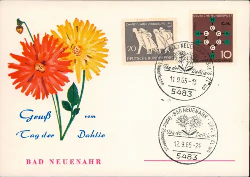 Ansichtskarte Bad Neuenahr-Ahrweiler Blumen Gruss-AK Tag der Dahlie 1965  mit passendem Sonderstempel und guter Frankatur