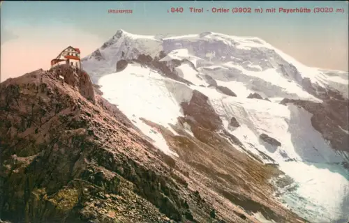 Ansichtskarte .Tirol Ortler (3902 m) mit Payerhütte (3020 m) Tirol 1914