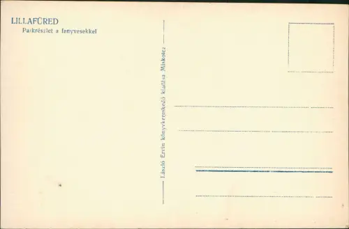 Lillafüred-Miskolc Miskolc (Miškovec/Miszkolc) Straßenpartie 1929