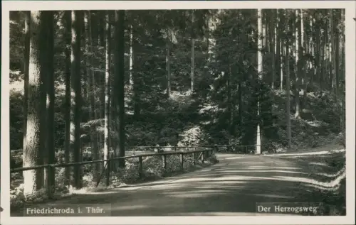Ansichtskarte Friedrichroda Der Herzogsweg 1934