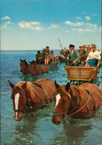 Ansichtskarte Cuxhaven Wattwagen bei aufkommender Flut 1978