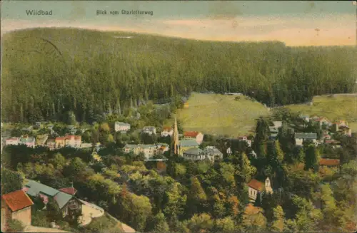 Ansichtskarte Bad Wildbad Blick vom Charlottenweg 1930