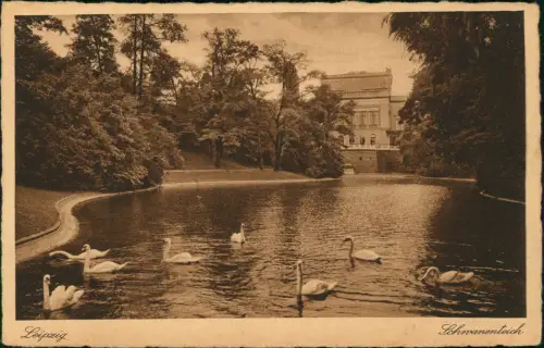 Ansichtskarte Leipzig Schwanenteich 1926